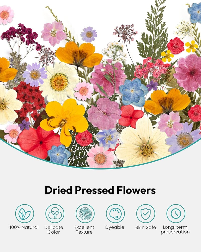 Resiners Dried Flowers, 100Pcs Pressed Flowers for Craft Real Natural Dried Flowers Dry Leaves Kit for DIY Making Crafts Resin Soap Candle Scrapbook Supplies Card Making Jewelry - Image 4